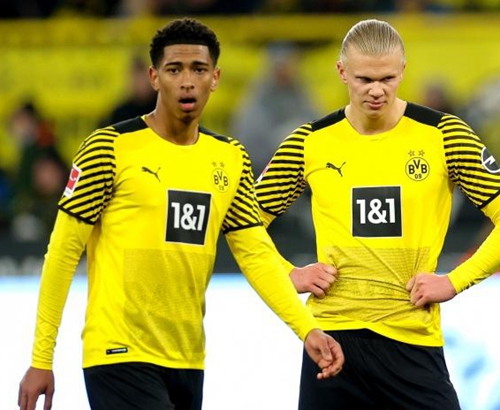 舒尔茨则以 舒尔茨则以